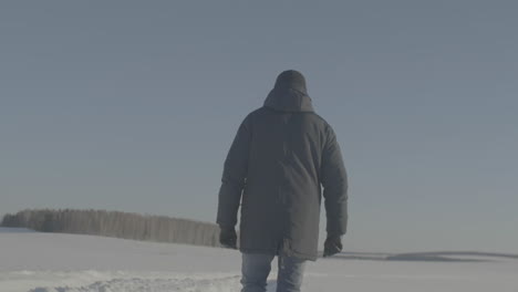 person walking in snowy landscape