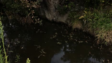 Drainage-ditch-in-a-rural-area-in-early-spring