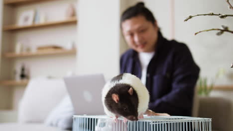 hombre trabajando con mascotas