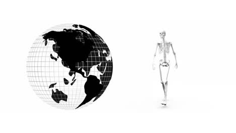 digital animation of globe icon spinning and human skeleton walking against white background