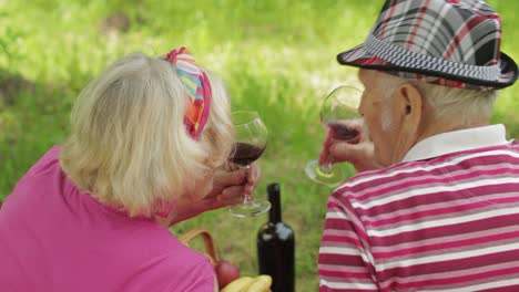 Family-weekend-picnic-in-park.-Active-senior-old-caucasian-couple-sit-on-blanket-and-drink-wine