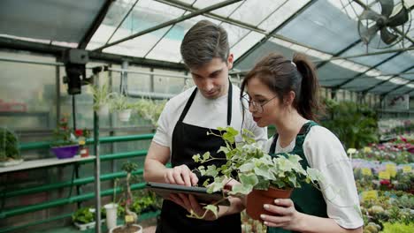 colaboración impulsada por la tecnología: empoderamiento del negocio de las flores