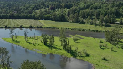 Bewegliche-Luftaufnahme-Eines-Flusses,-Der-Sich-Durch-Ein-Grasbewachsenes-Stück-Land-In-Zwei-Teile-Teilt