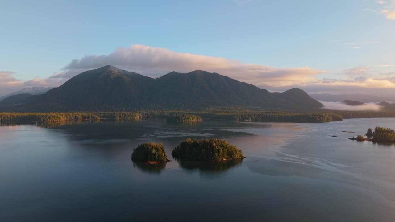 tomada de drone de tofino en la isla de vancouver que muestra colores de otoño, costa escarpada y olas del océano en una vista aérea panorámica.