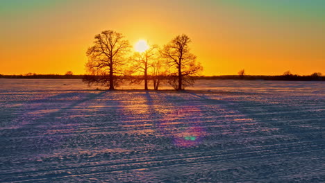 puesta de sol sobre un campo nevado con árboles en silueta y luz dorada reflejada en la superficie helada