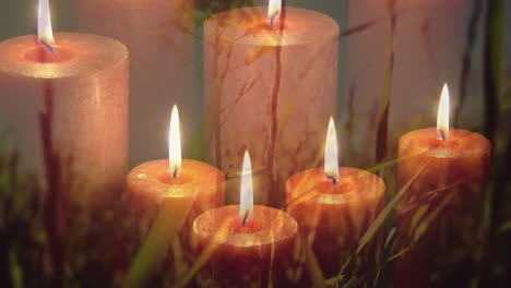 animación de velas encendidas sobre el prado y la hierba