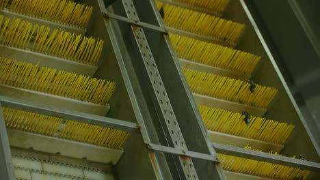 Mussels-being-transported-on-a-yellow-conveyor-belt-inside-a-fish-factory