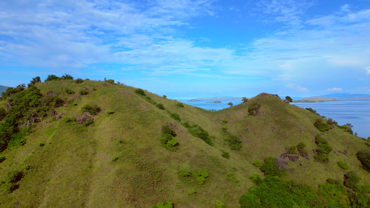 Pemandangan luas perbukitan Pulau Komodo yang bergelombang tertutup hutan hijau lebat dan padang rumput di bawah langit biru. Panorama pengambilan gambar drone udara yang mulus dari atas.