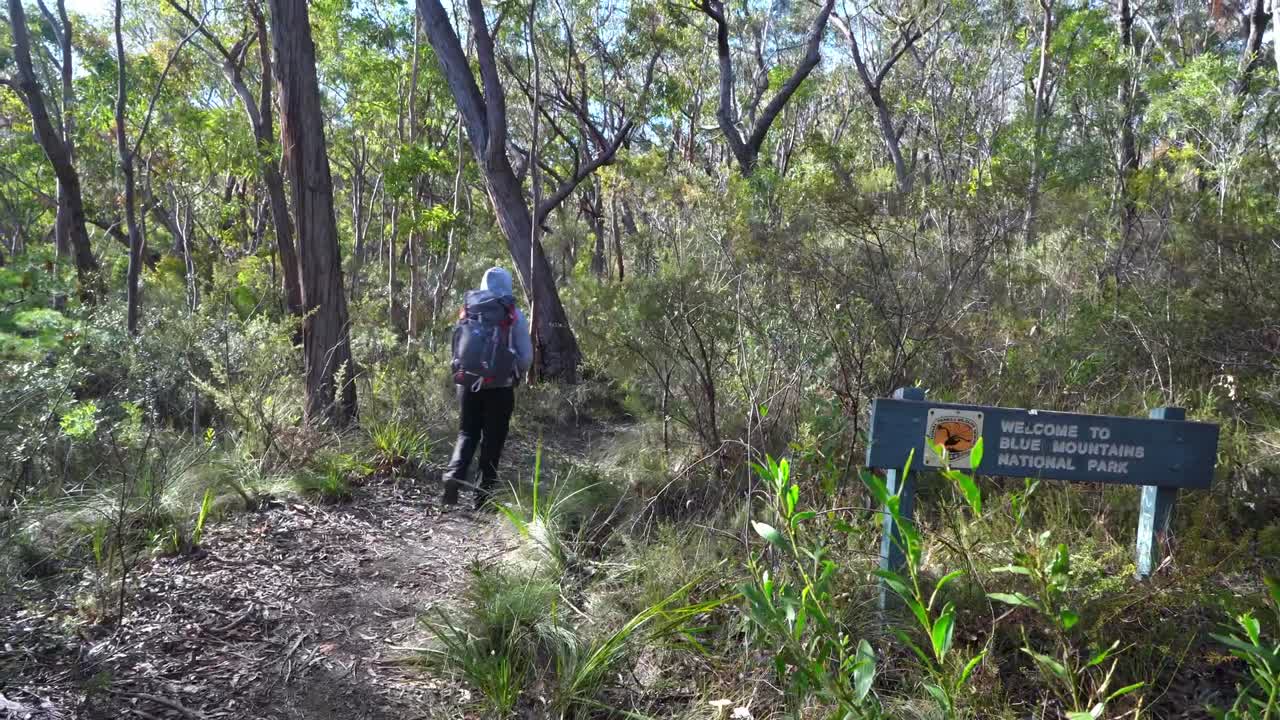 오스트레일리아 원주민 여성 이 나무 로 된 블루 마운틴 국립 공원 표지판 을 지나가고 있다