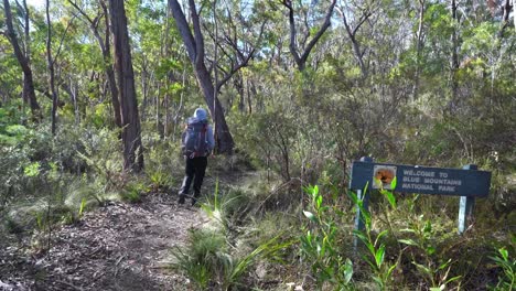 Indigene-Australische-Frau,-Die-An-Einem-Hölzernen-Blue-Mountains-Nationalpark-Schild-Vorbeigeht