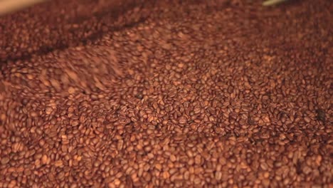 coffee drying process with industrial machinery