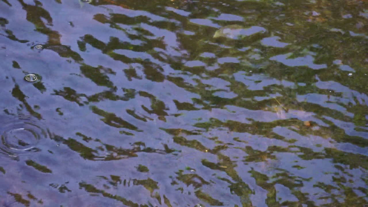 agua de riachuelo con ondas y burbujas flotando en la superficie