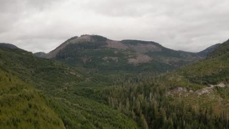 A-mixture-of-old-growth,-second-growth,-and-a-fresh-clearcut-forest-on-Vancouver-Island,-British-Columbia