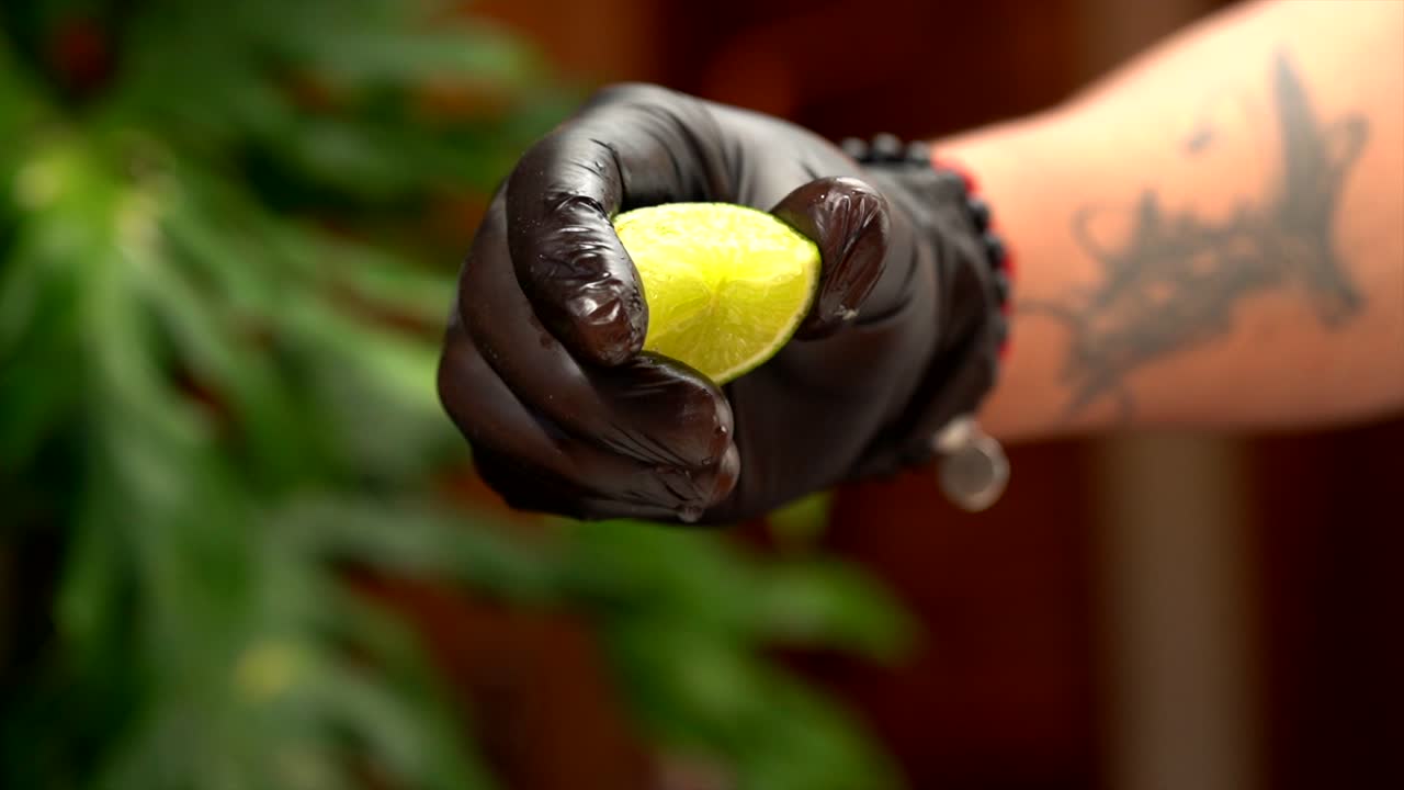 Latin chef squeeze lemon wearing black gloves closeup