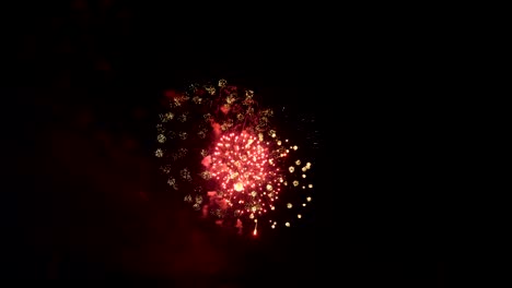 hermosos fuegos artificiales de colores. celebración