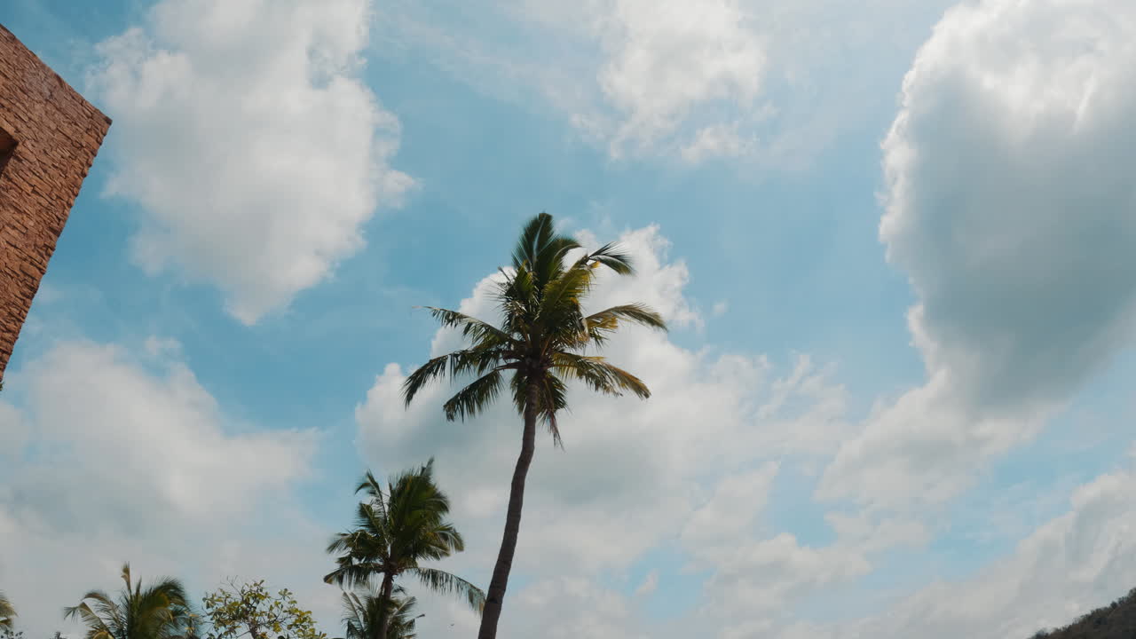 바람에 불어오는  ⁇ 나무의 정적  ⁇