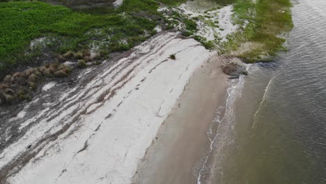 Weißer-Sandstrand,-Vegetationswellen,-Die-An-Land-Gespült-Werden,-Tybee-Island,-Georgia,-Luftdrohne