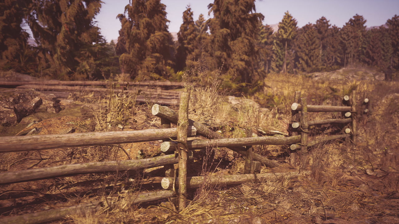 Wooden fence in a serene forest landscape during golden hour