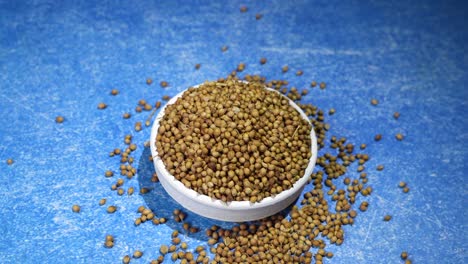 las semillas de cilantro se conservan en un cuenco