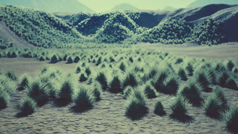 parque nacional del cañón de la roca roja
