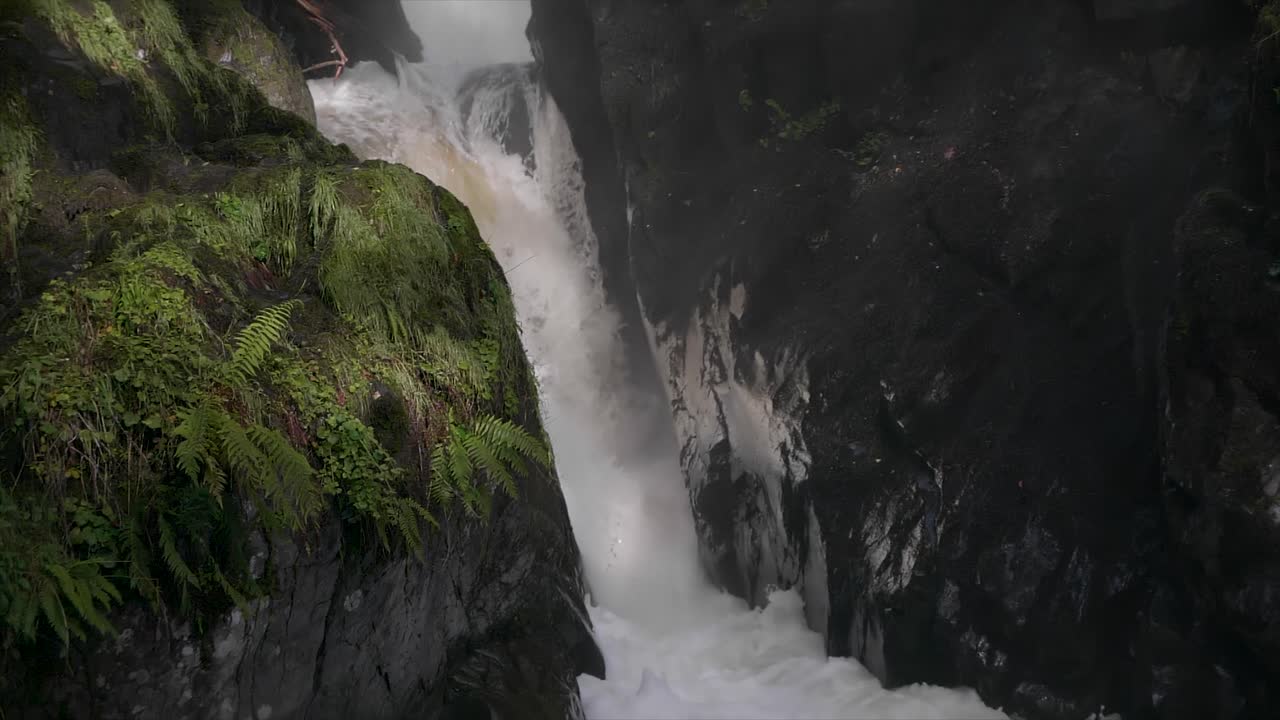 hermosa toma dslr sin espejo de la cascada de aira falls bajo el dosel de los árboles en el distrito de los lagos