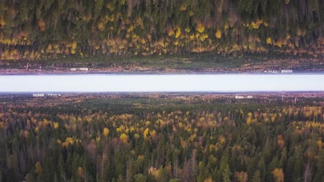 inverted forest landscape in autumn