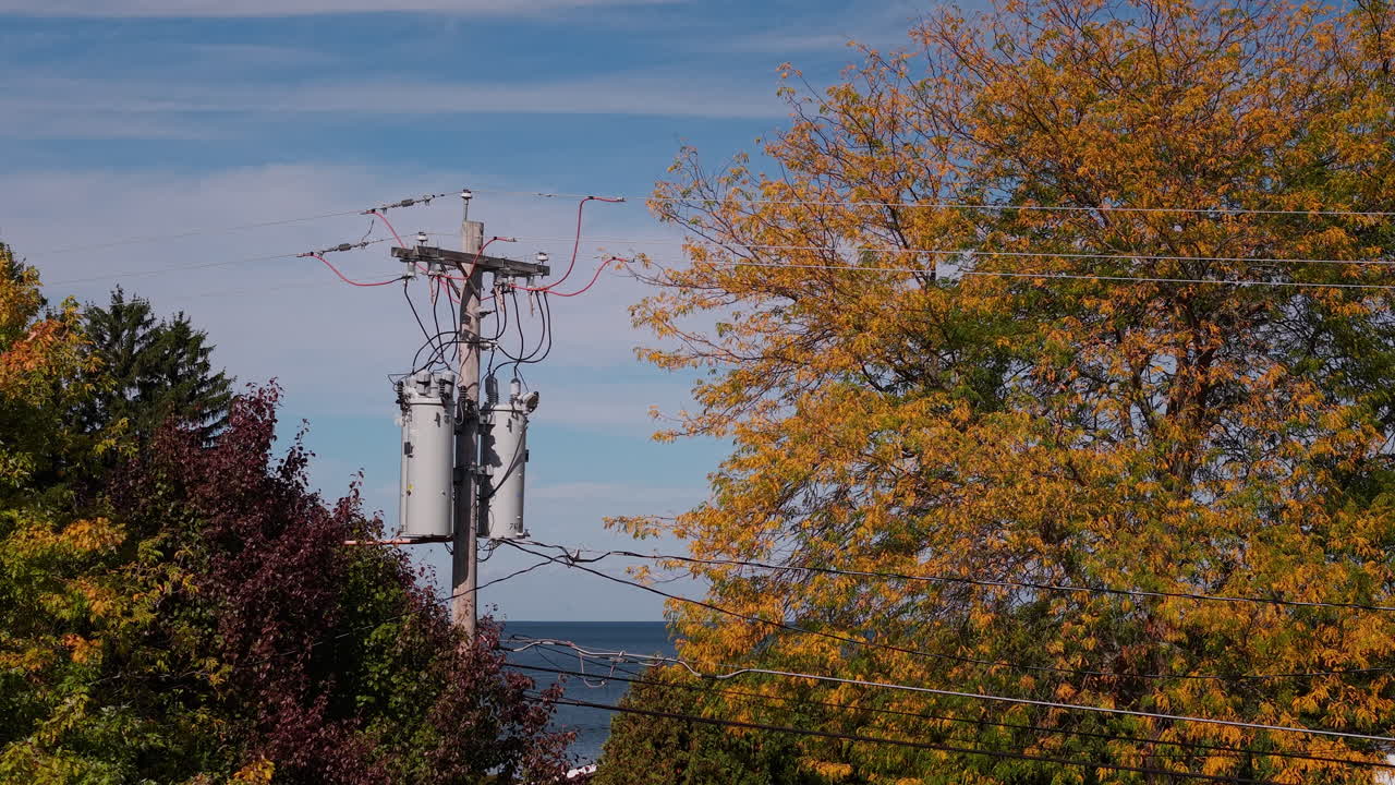 Power Pole Amongst Autumn Trees