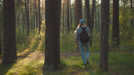 back view of young woman hiking through a tranquil forest, playfully brushing her hand against tree bark while wearing a backpack, sunlight filters through trees, casting a warm glow on her path