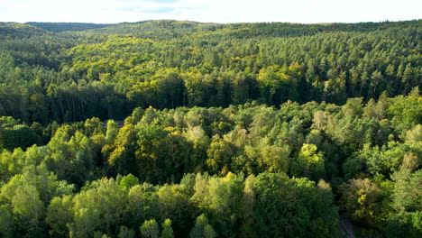 Una-Vasta-Extensión-De-Bosque-Verde-En-Un-Sitio-Montañoso---Movimiento-De-Pedestal-De-Drones