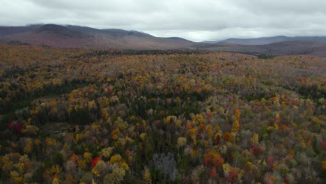 massive colorful fall forest valley near hillside during overcast day