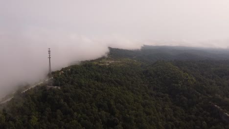 Green-mountain-forest-landscape-of-Tennessee--aerial