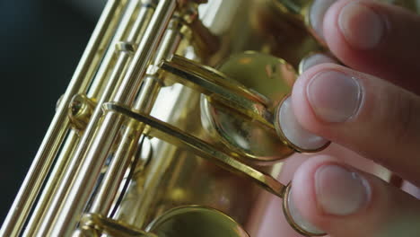 detail shot of playing sax