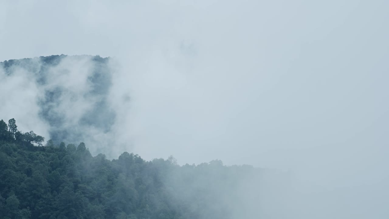 Above the Clouds Rainforest Timelapse in Nepal, Time lapse of Misty Layers of Cloud and Mist Moving and Rolling Above the Trees in a Forest in the Himalayas Nepal Mountains, Background with Copy Space