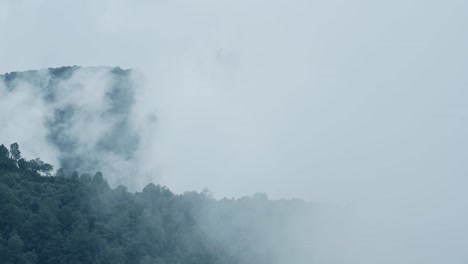 above the clouds rainforest timelapse in nepal, time lapse of misty layers of cloud and mist moving and rolling above the trees in a forest in the himalayas nepal mountains, background with copy space