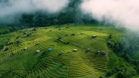 4k cinematic nature aerial drone footage of the beautiful mountains and paddy fields of ban pa pong piang at doi ithanon next to chiang mai, thailand on a cloudy day