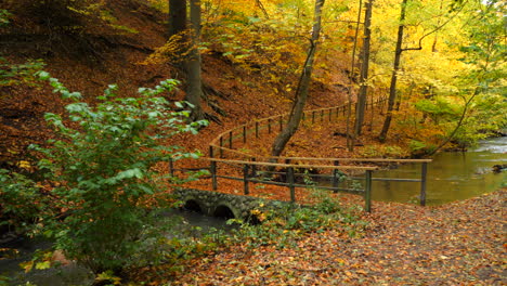 Brücke-Im-Herbstwaldpark