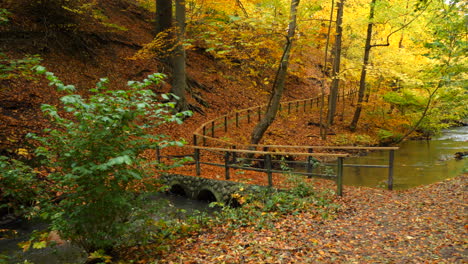 bridge in the autumn forest park