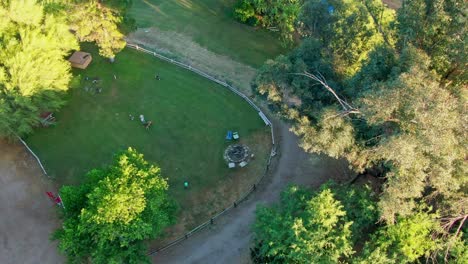 Vista-Aérea-De-Arriba-Hacia-Abajo,-Mujer-Juega-Con-Perros-En-El-Parque,-árboles-De-Colores-Otoñales