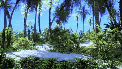un paraíso tropical con arena blanca y palmeras