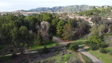 aerial-view-of-lovely-tree-grove