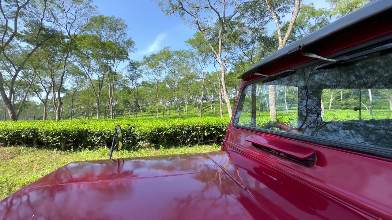 バングラデシュのスリーマンガルにある茶畑のパノラマビュー、マネージャーの車越しに