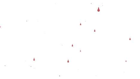 animation of drops of blood falling on white background