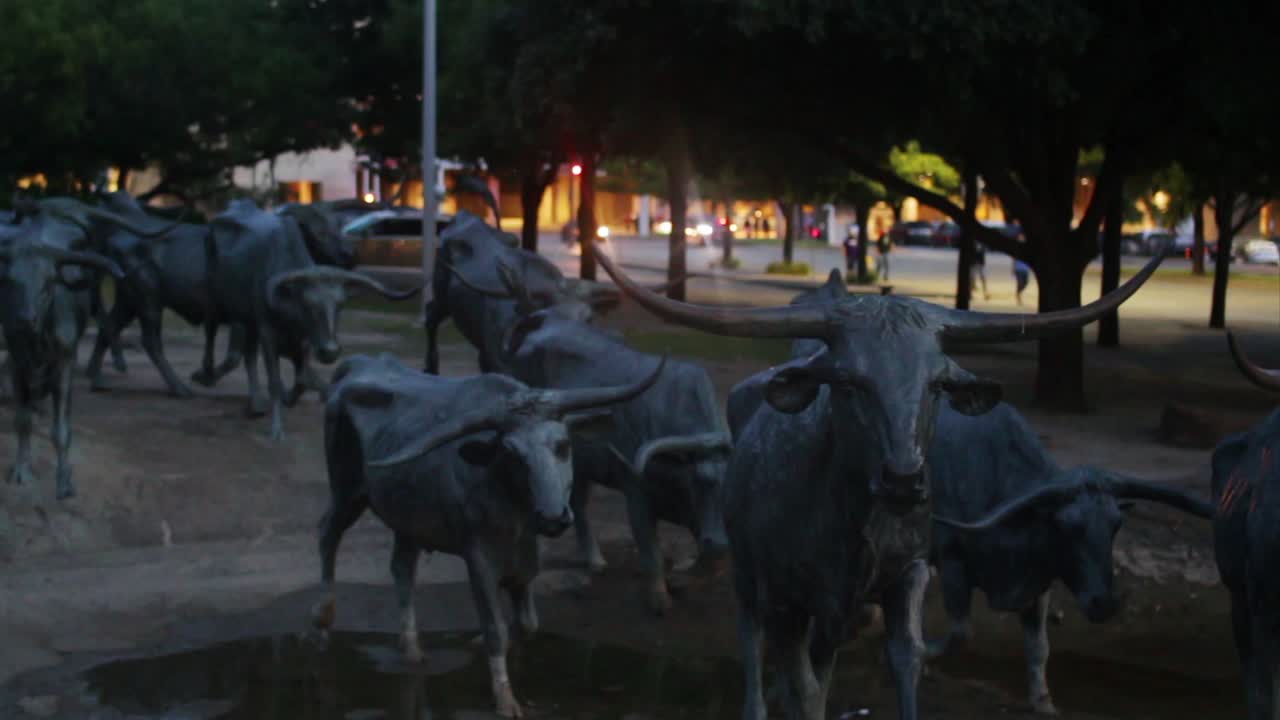 Longhorn statues at Pioneer Plaza