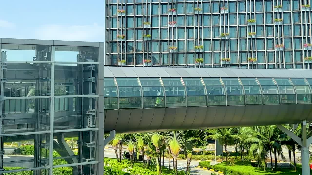 Plano de seguimiento de un elegante puente peatonal de cristal y un edificio moderno con paisajismo tropical.