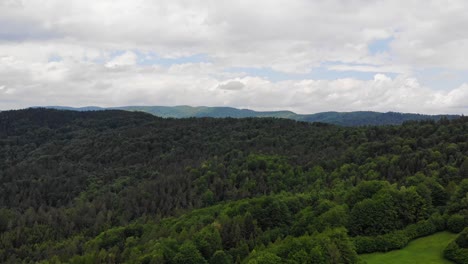 Aerial-view-of-serene-forest-in-Beskid-Sadecki-mountains,-Poland