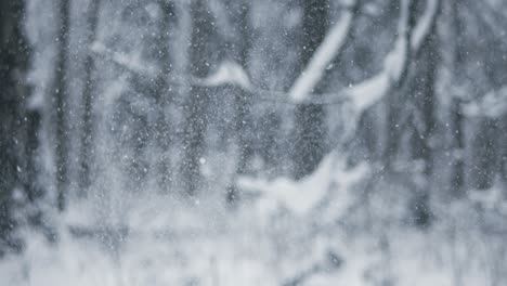 winter landscape during snowfall. winter christmas abstract background on super slow motion.