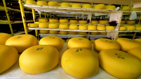 almacenamiento de queso en la fábrica de productos lácteos.
