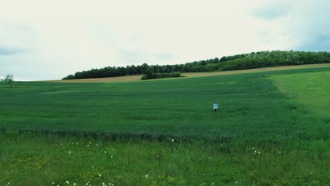 Ein-Mädchen,-Das-Mit-Einer-Gitarre-Durch-Ein-Haferfeld-Klettert