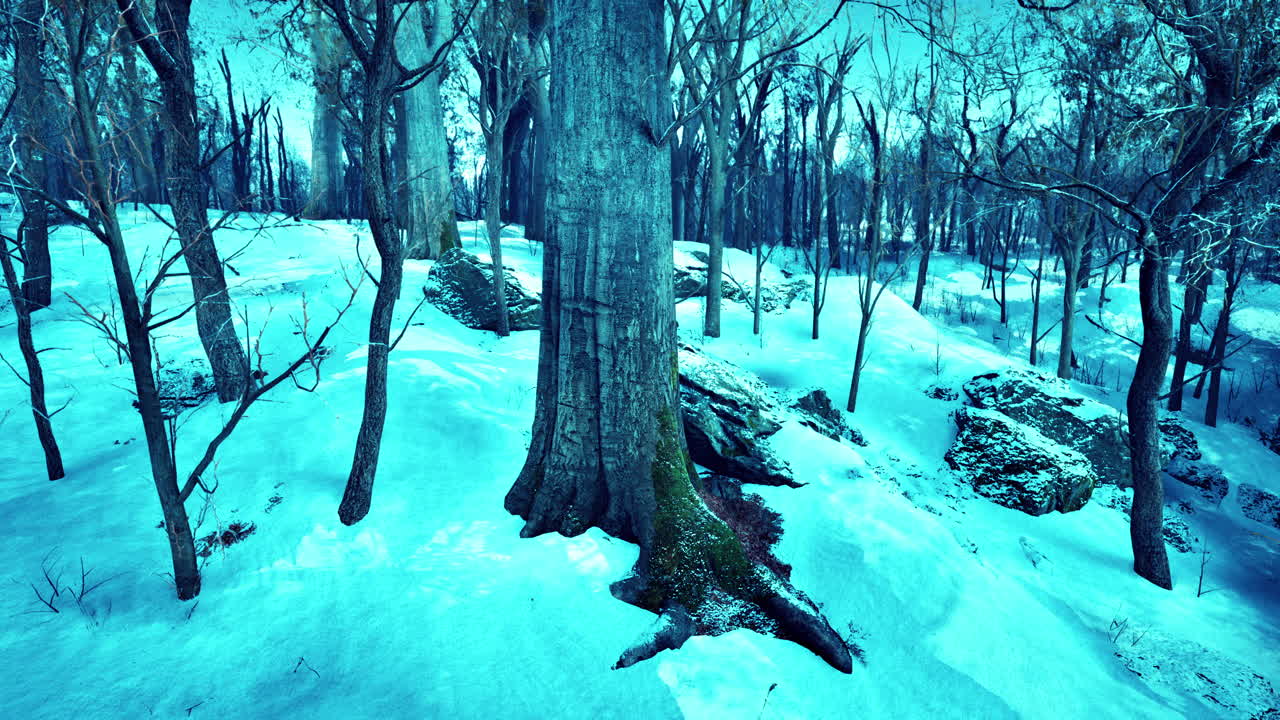 schneebedeckte winterwaldlandschaft