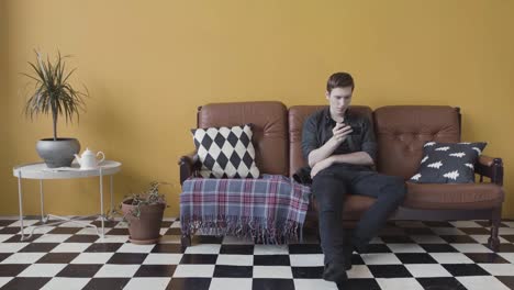 man using phone on a couch in a living room